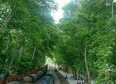 درود؛ سرزمین لاله ها و آبشارهای ایران