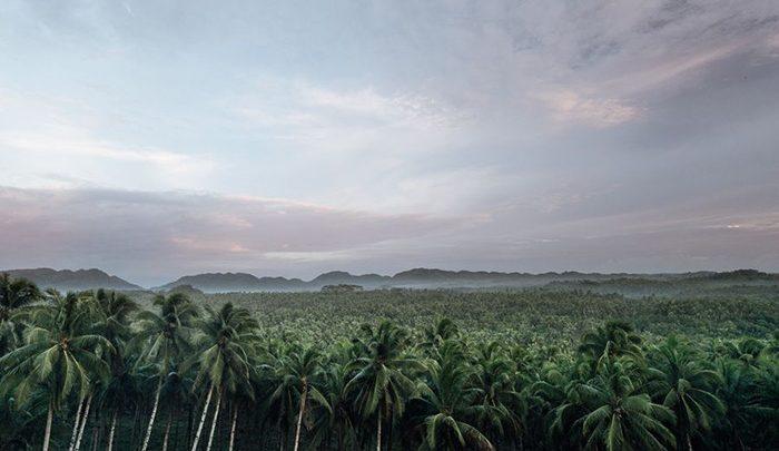 سیارگائو ؛ بهشت سبز سواحل! ، تصاویر