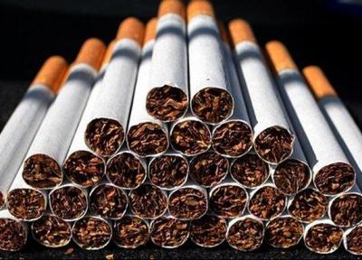 دخانیات خطر مرگ و میر بر اثر کرونا را افزایش می دهد