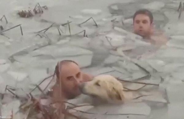 پلیس ها برای نجات سگ وارد آب یخ زده شدند