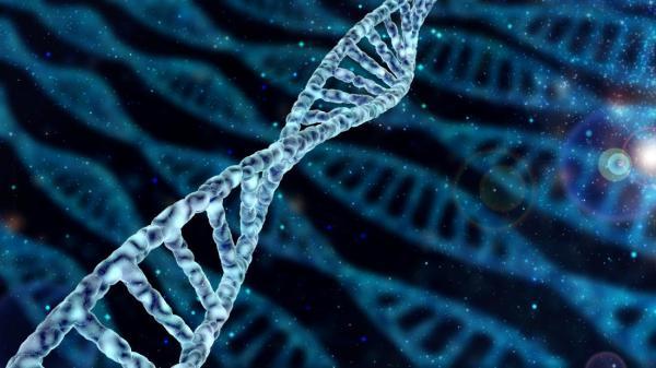 پیش بینی طول عمر بر اساس نمره ژنتیکی