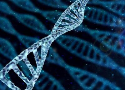 پیش بینی طول عمر بر اساس نمره ژنتیکی